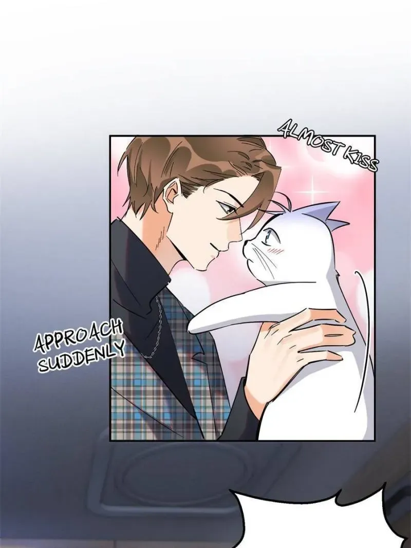 My Cat Lover Chapter 23 Online - página 21