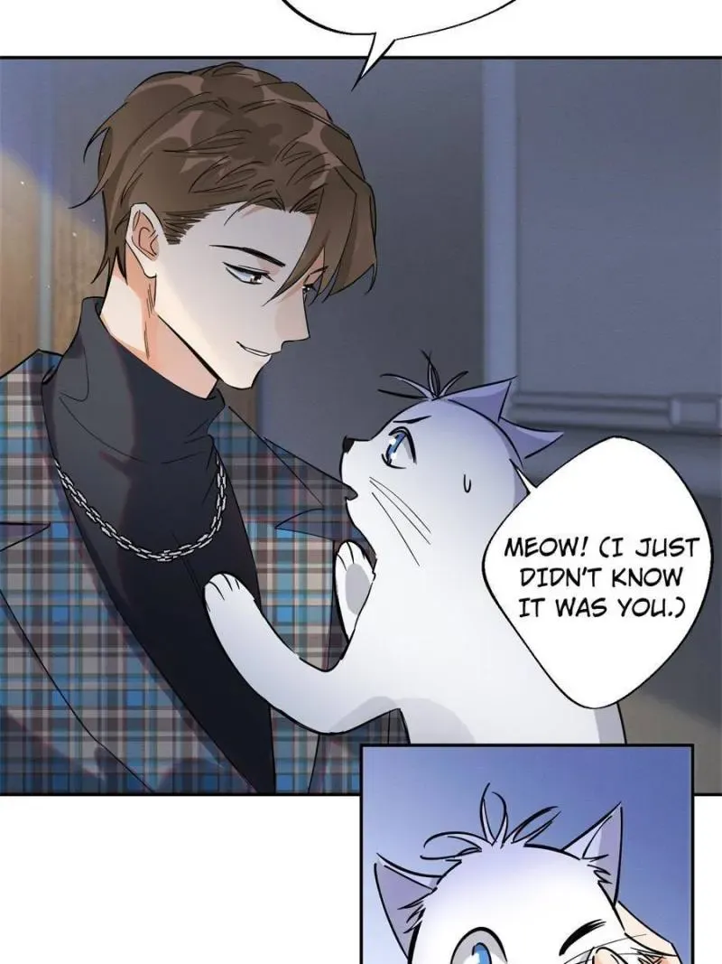 My Cat Lover Chapter 23 Online - página 23