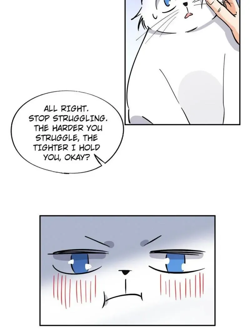 My Cat Lover Chapter 23 Online - página 24