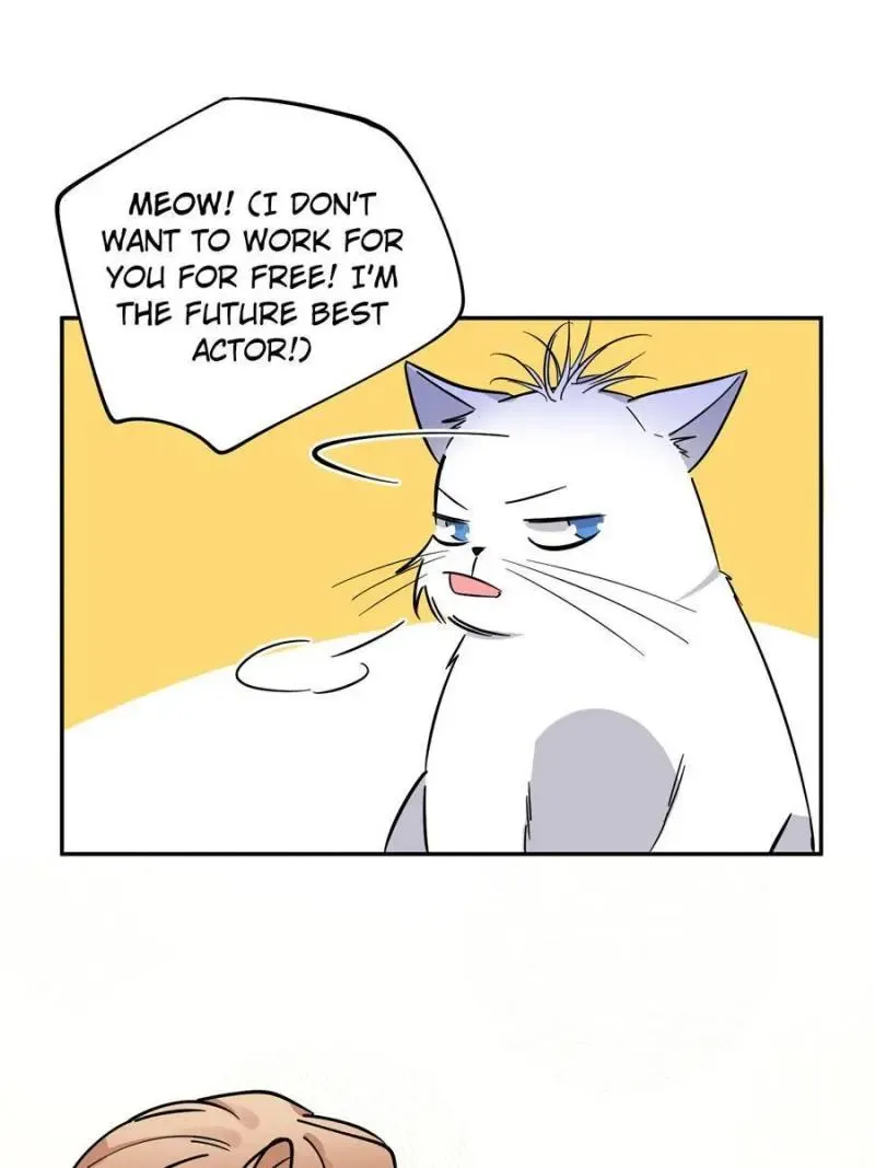My Cat Lover Chapter 25 Online - página 3