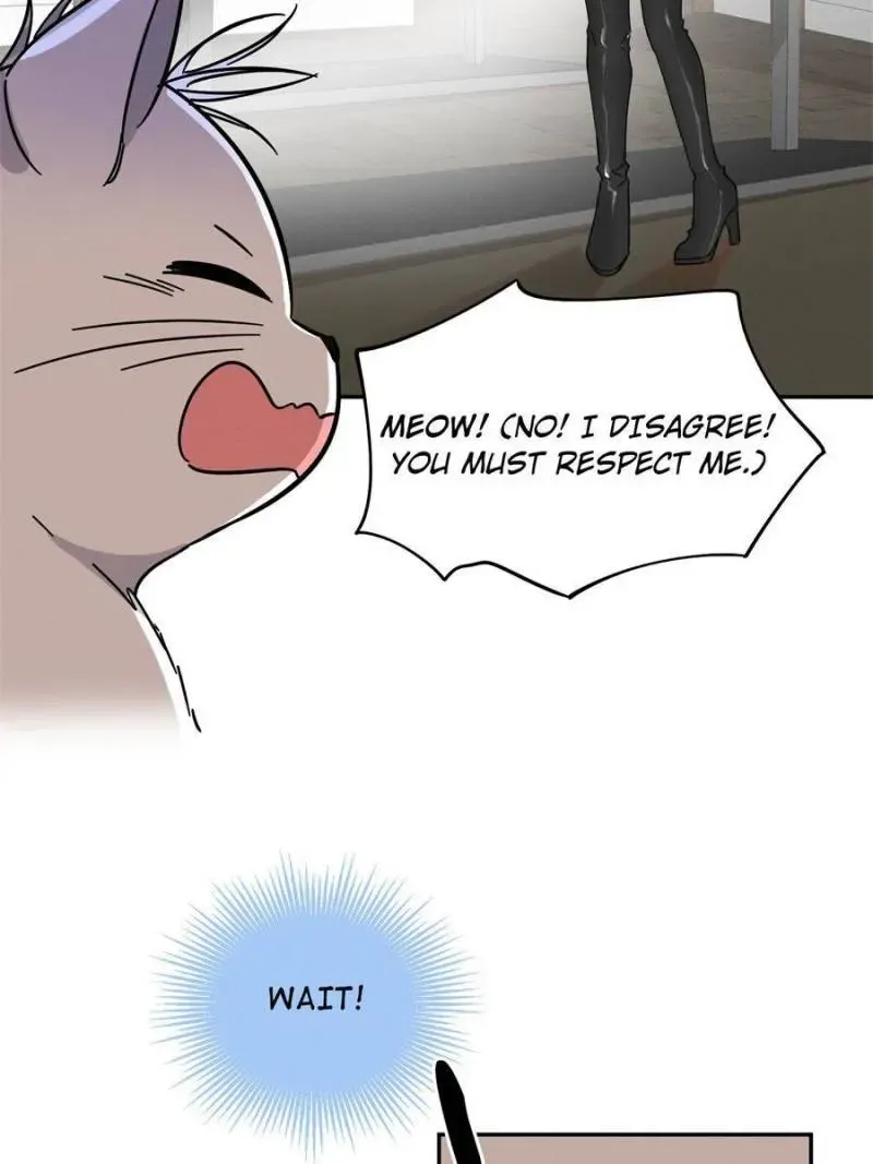 My Cat Lover Chapter 25 Online - página 6