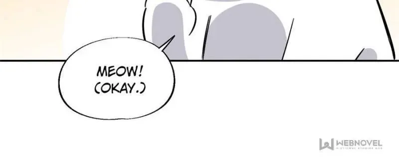 My Cat Lover Chapter 25 Online - página 8