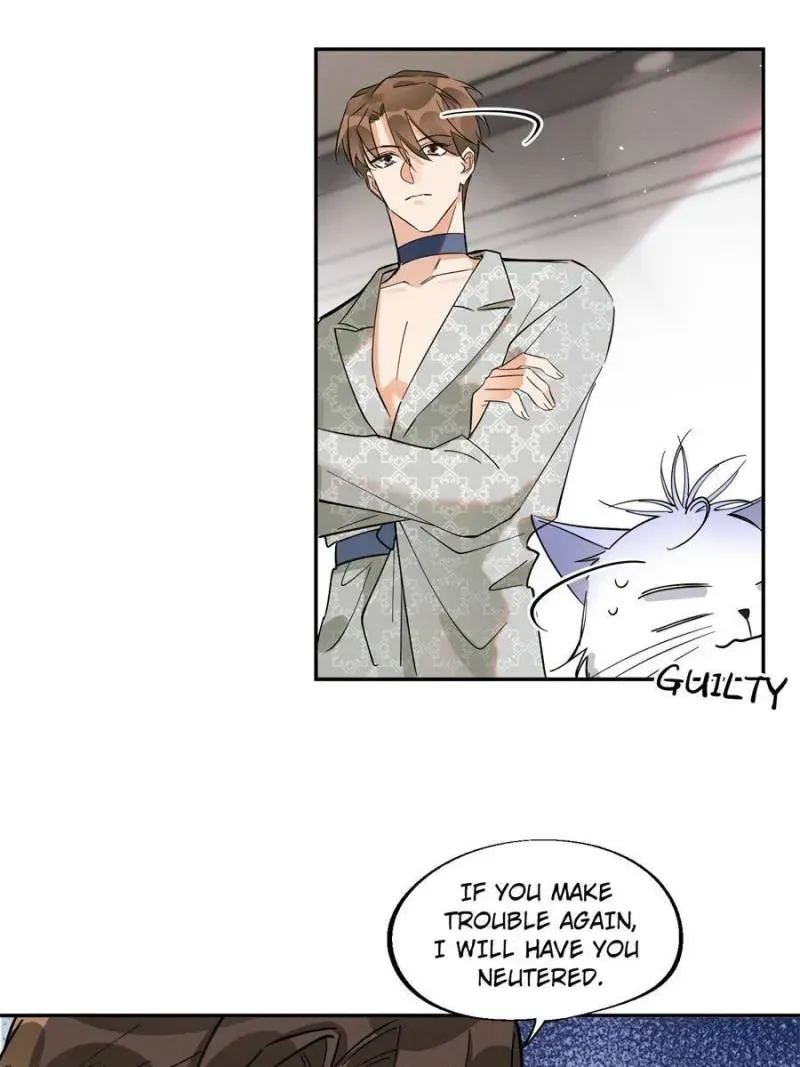 My Cat Lover Chapter 25 Online - página 12