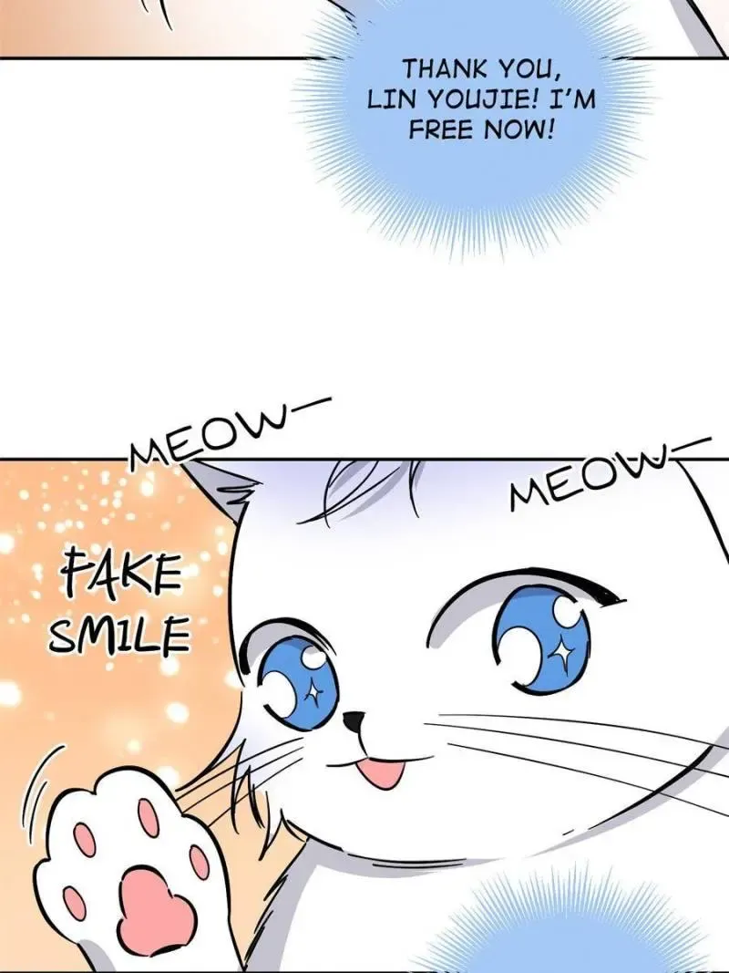 My Cat Lover Chapter 25 Online - página 38