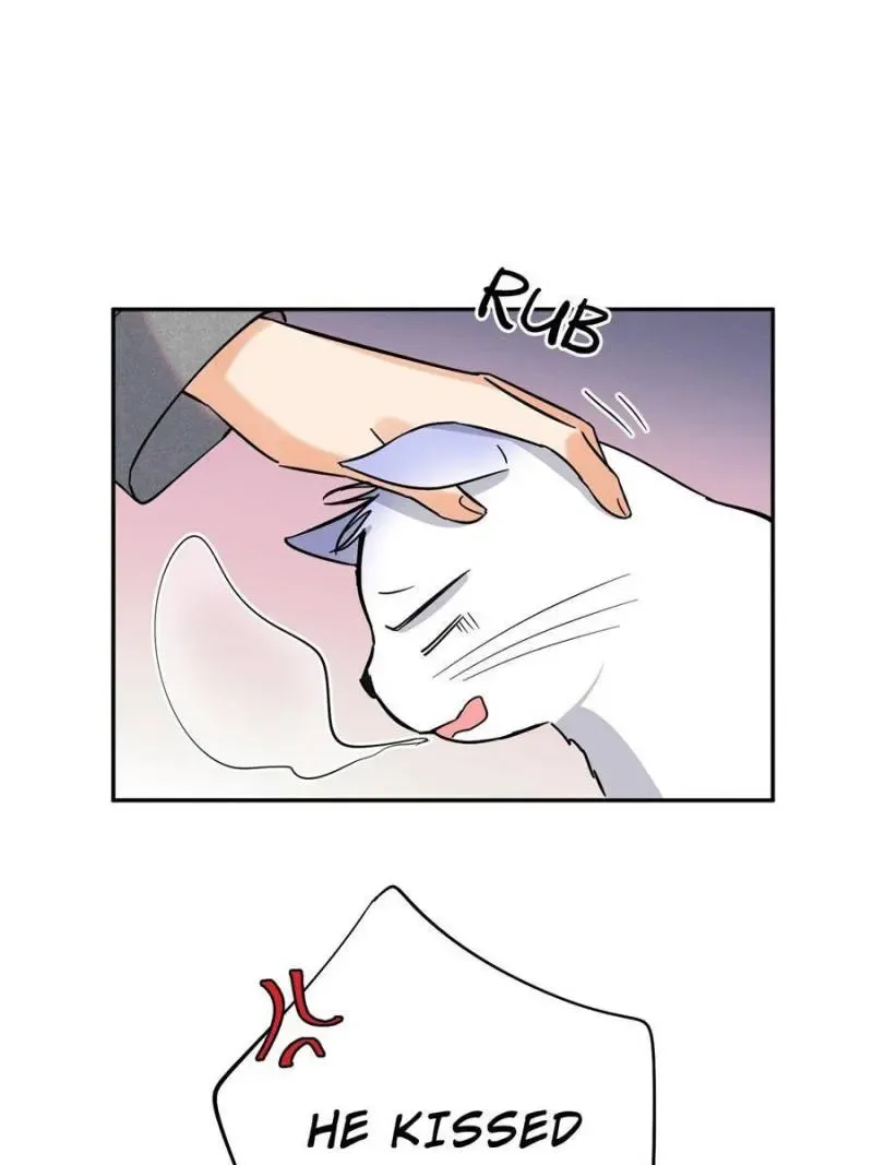 My Cat Lover Chapter 25 Online - página 42