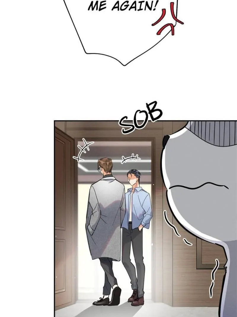 My Cat Lover Chapter 25 Online - página 43