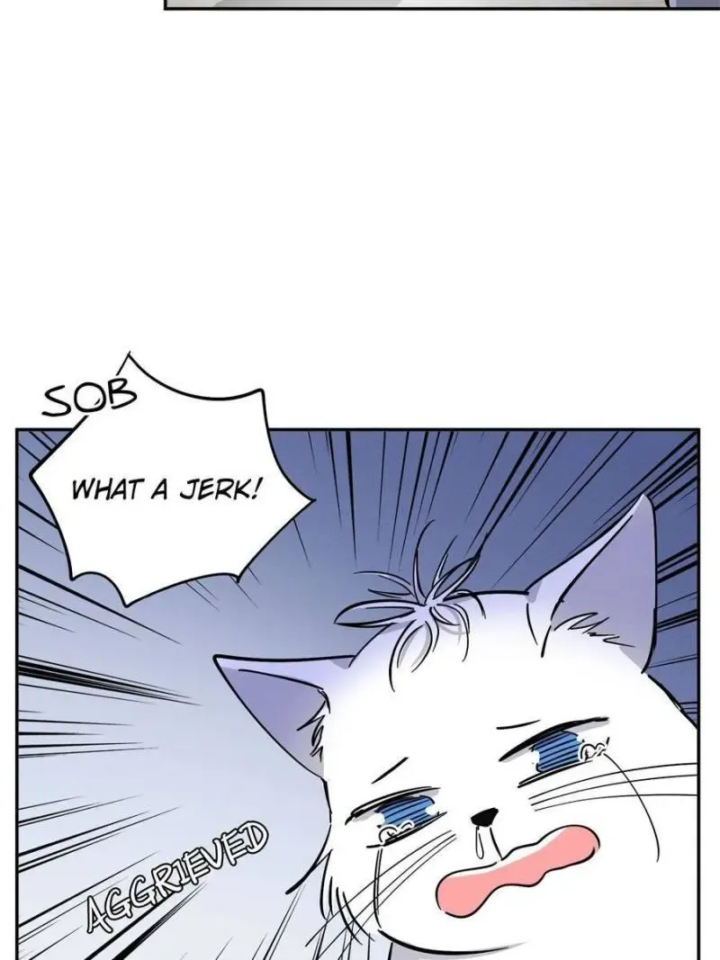 My Cat Lover Chapter 25 Online - página 44