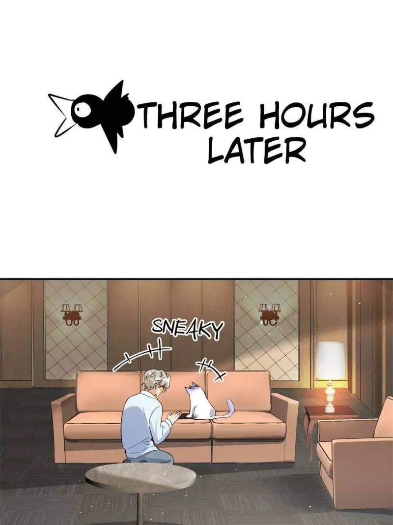 My Cat Lover Chapter 30 Online - página 29