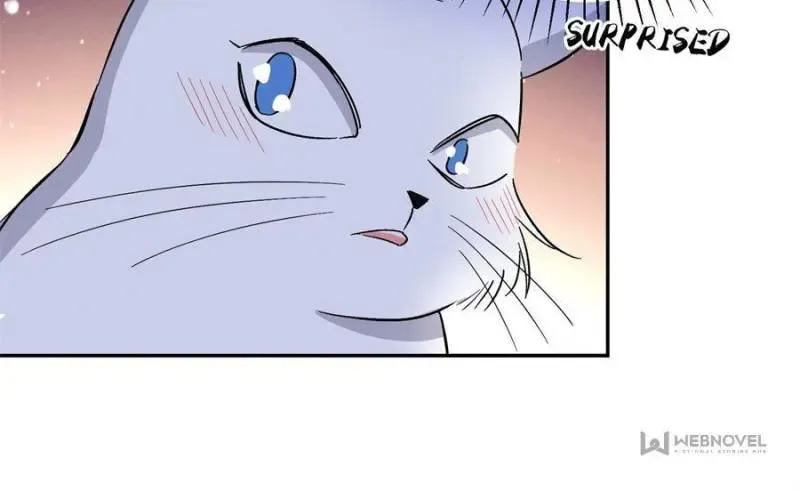 My Cat Lover Chapter 32 Online - página 25