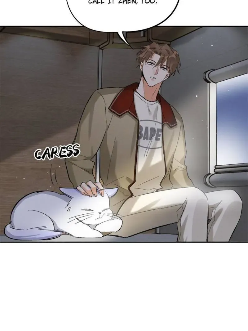 My Cat Lover Chapter 32 Online - página 37