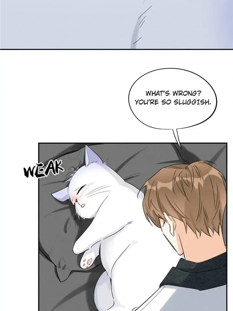 My Cat Lover Chapter 35 Online - página 8
