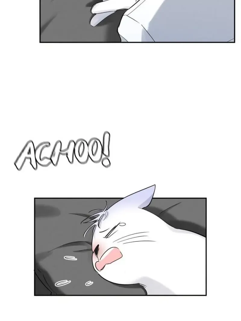 My Cat Lover Chapter 35 Online - página 9