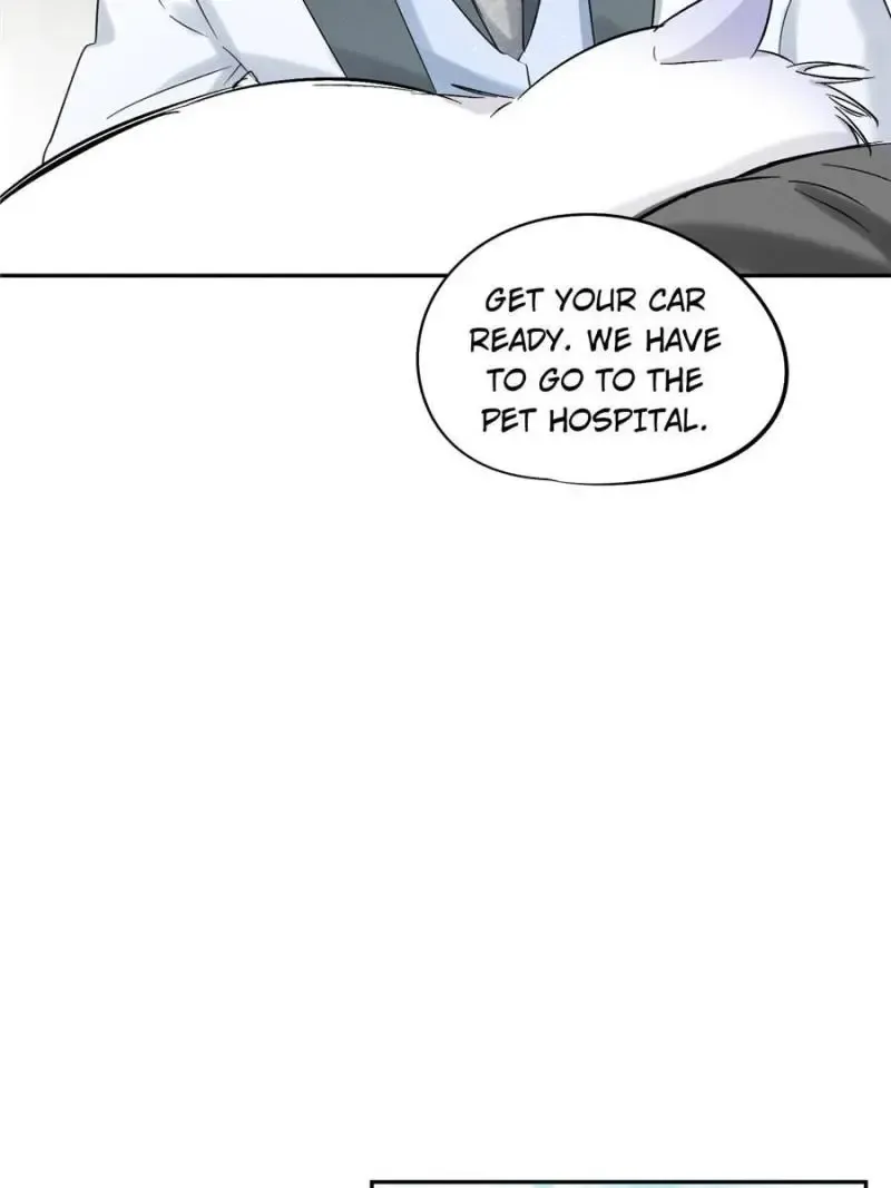 My Cat Lover Chapter 35 Online - página 11
