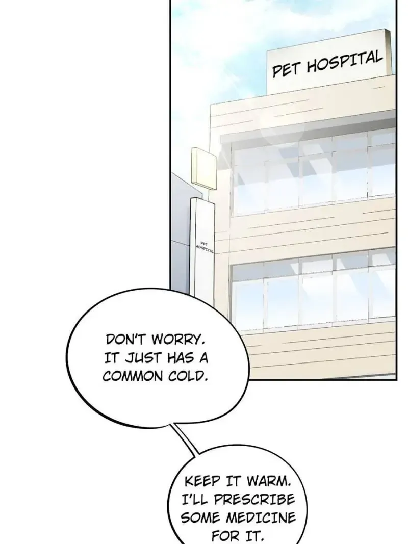My Cat Lover Chapter 35 Online - página 12