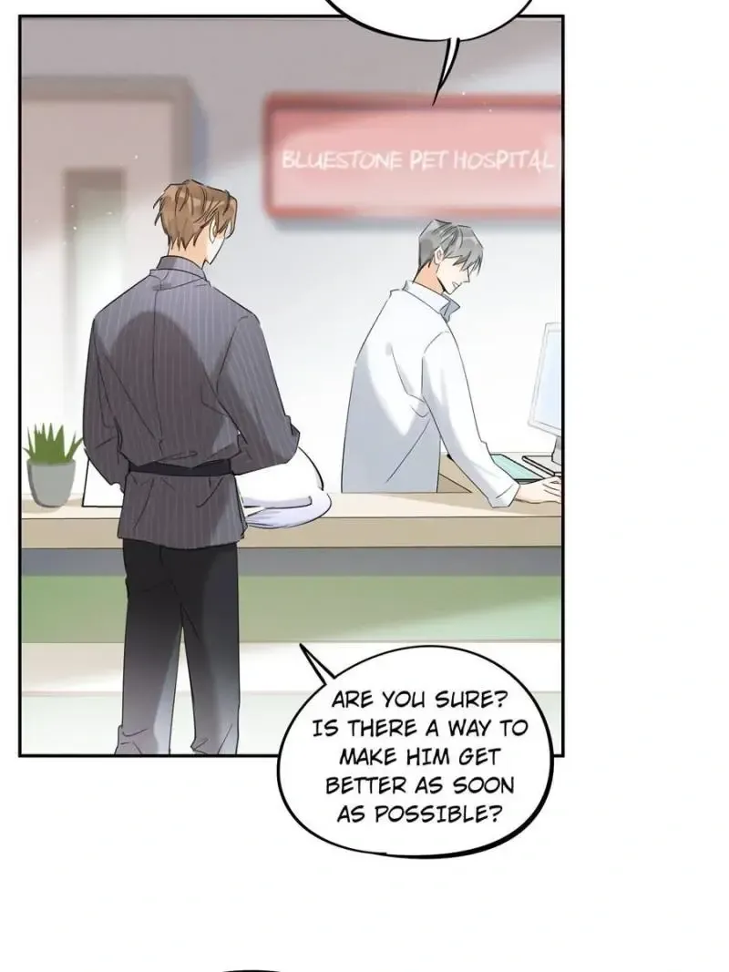 My Cat Lover Chapter 35 Online - página 13