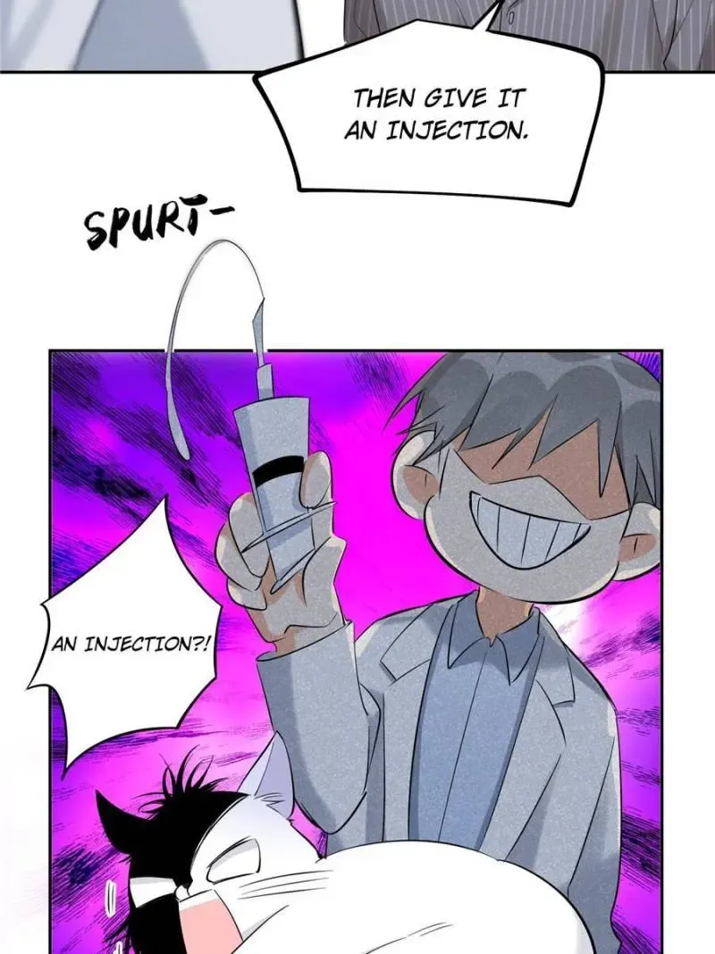 My Cat Lover Chapter 35 Online - página 15