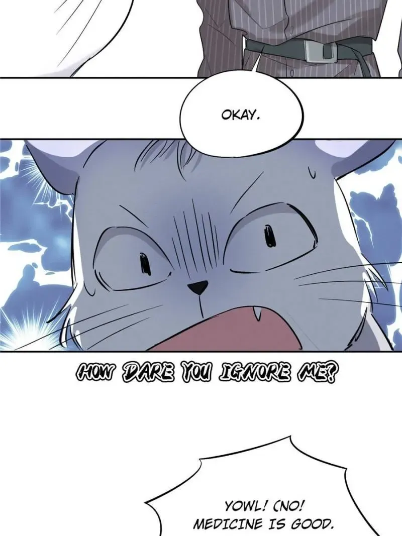 My Cat Lover Chapter 35 Online - página 17