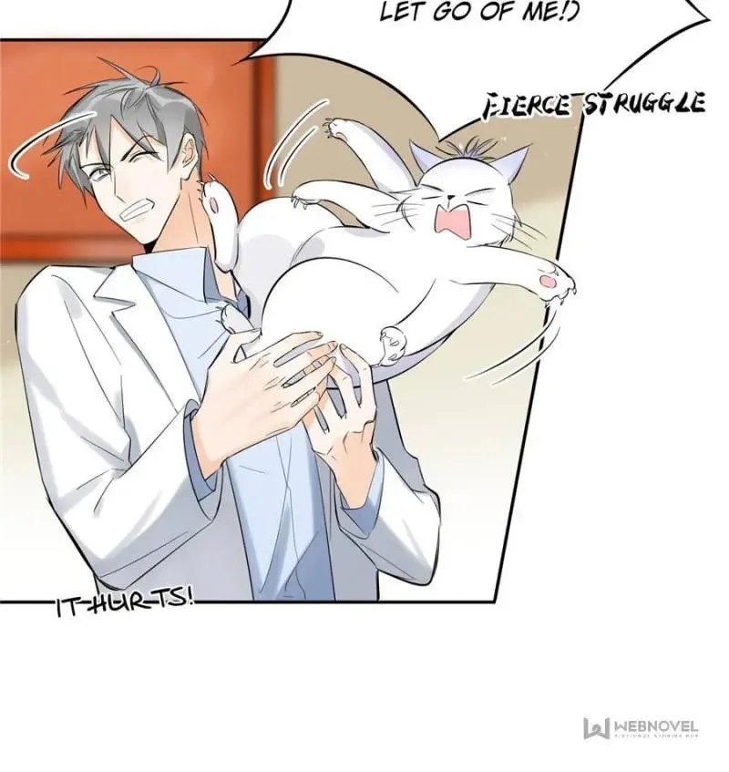 My Cat Lover Chapter 35 Online - página 18