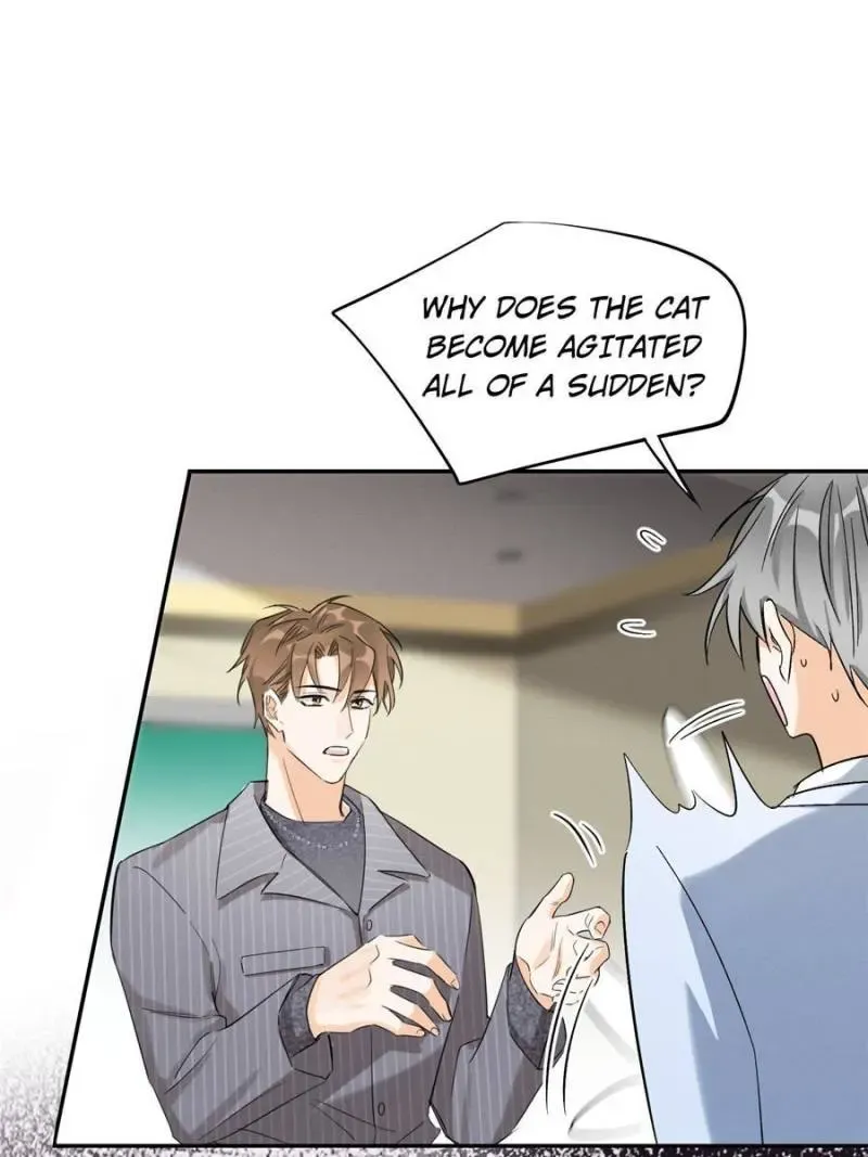 My Cat Lover Chapter 35 Online - página 19