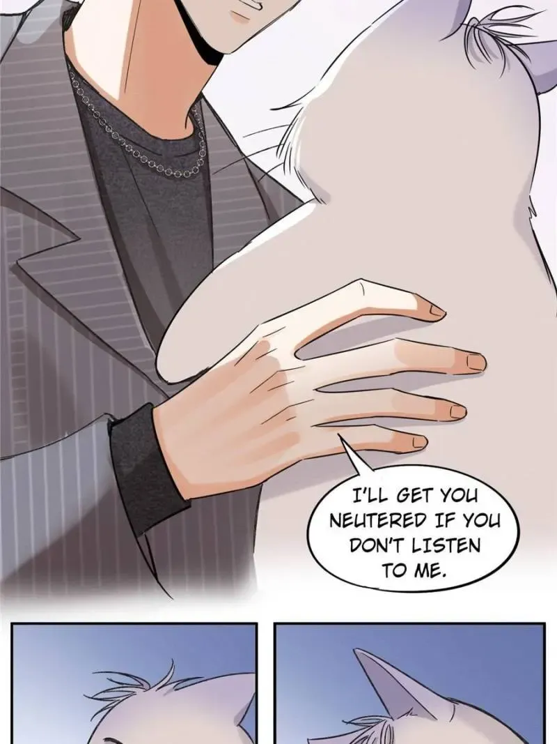 My Cat Lover Chapter 35 Online - página 21