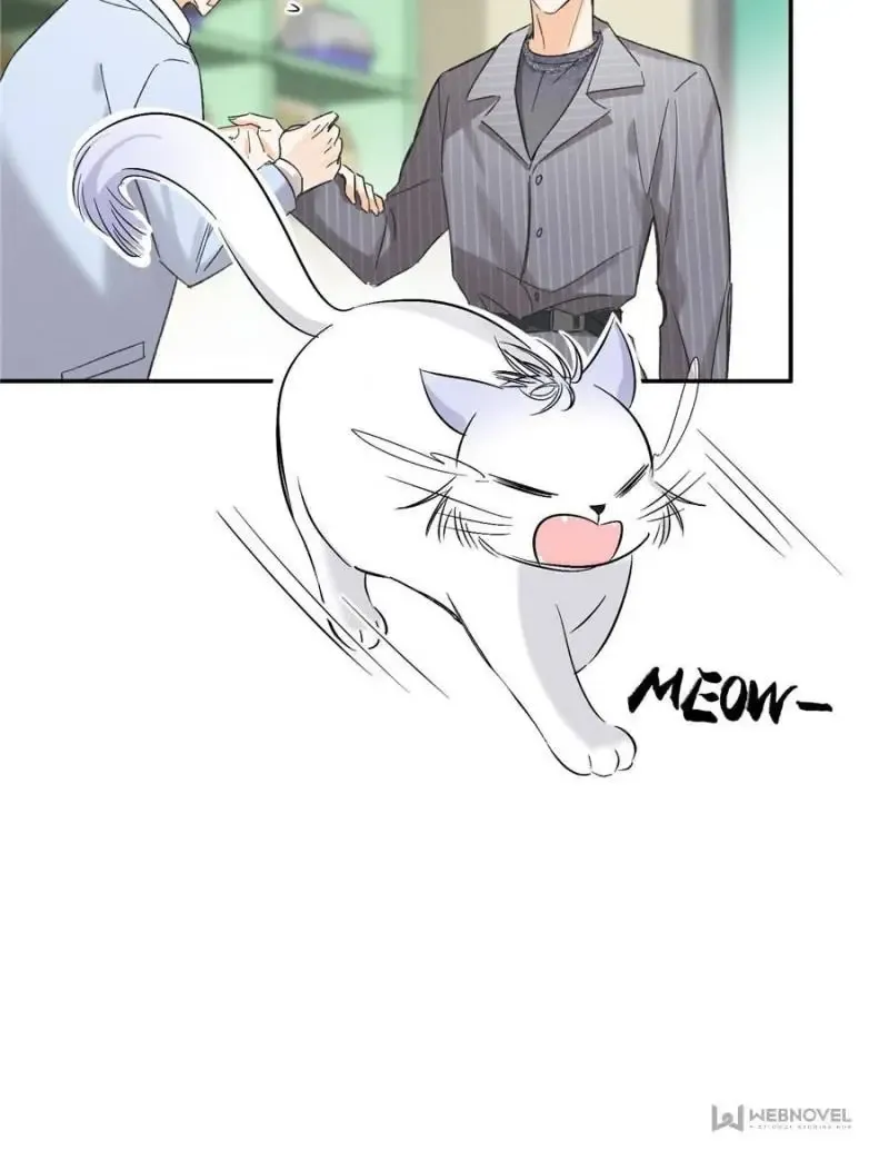 My Cat Lover Chapter 35 Online - página 24