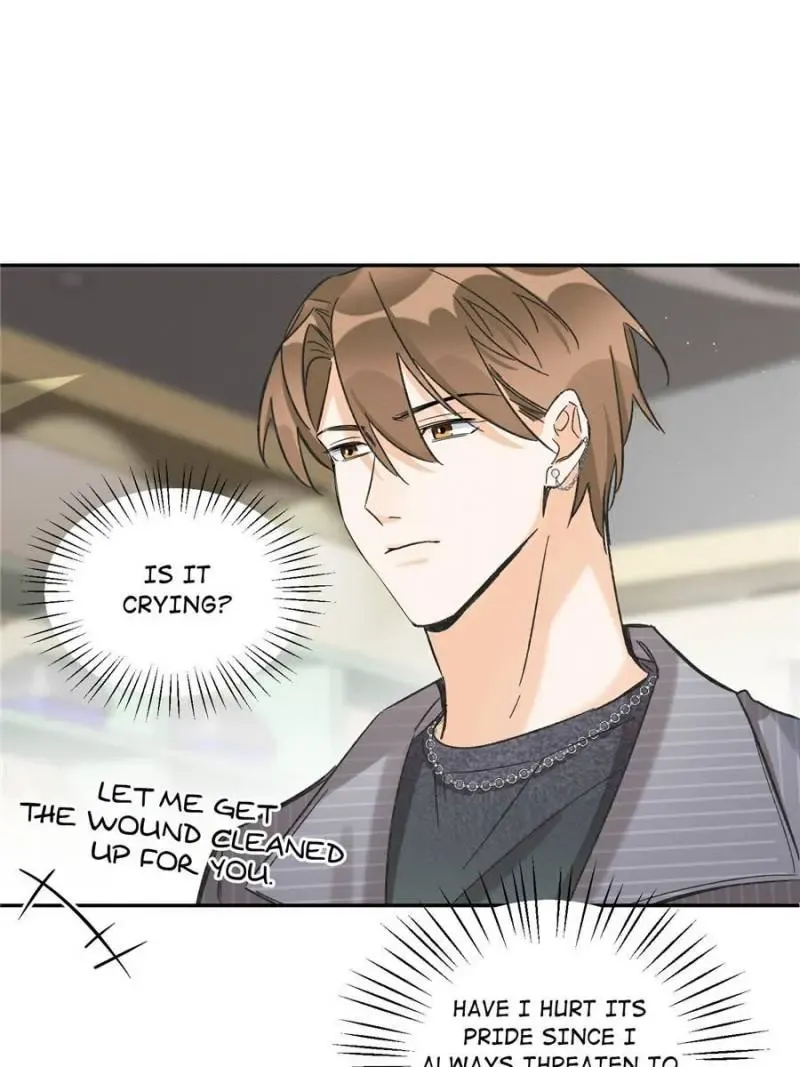 My Cat Lover Chapter 35 Online - página 25