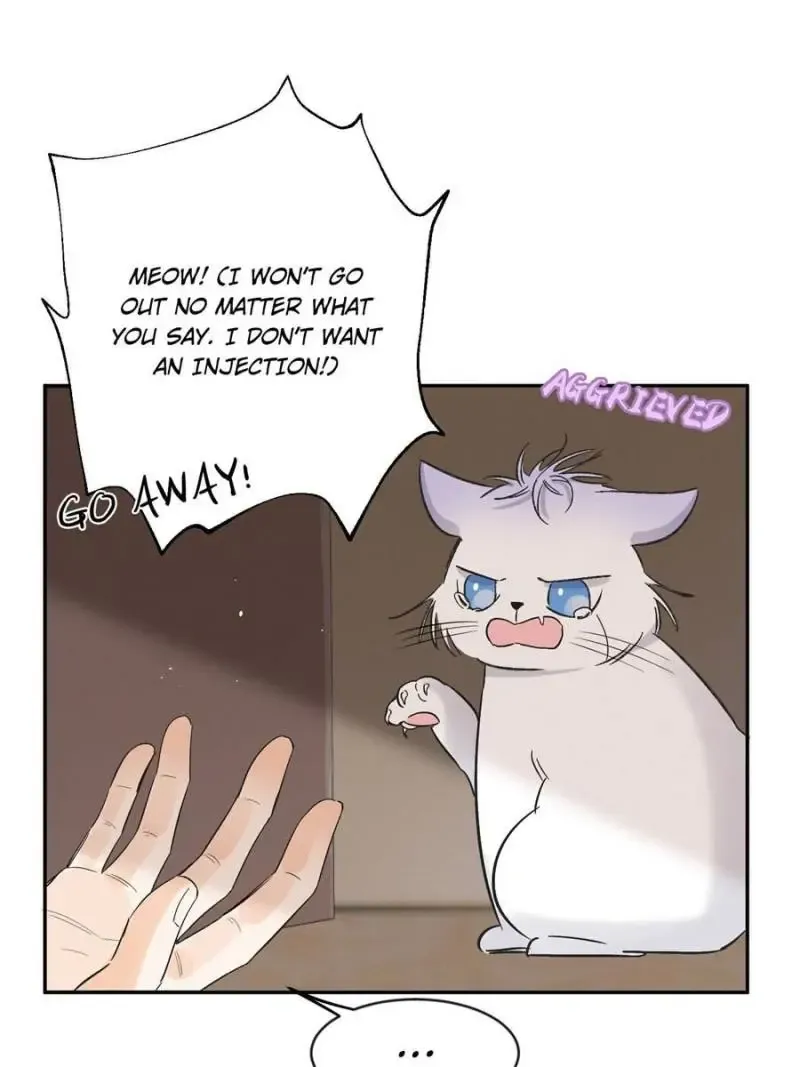 My Cat Lover Chapter 35 Online - página 28