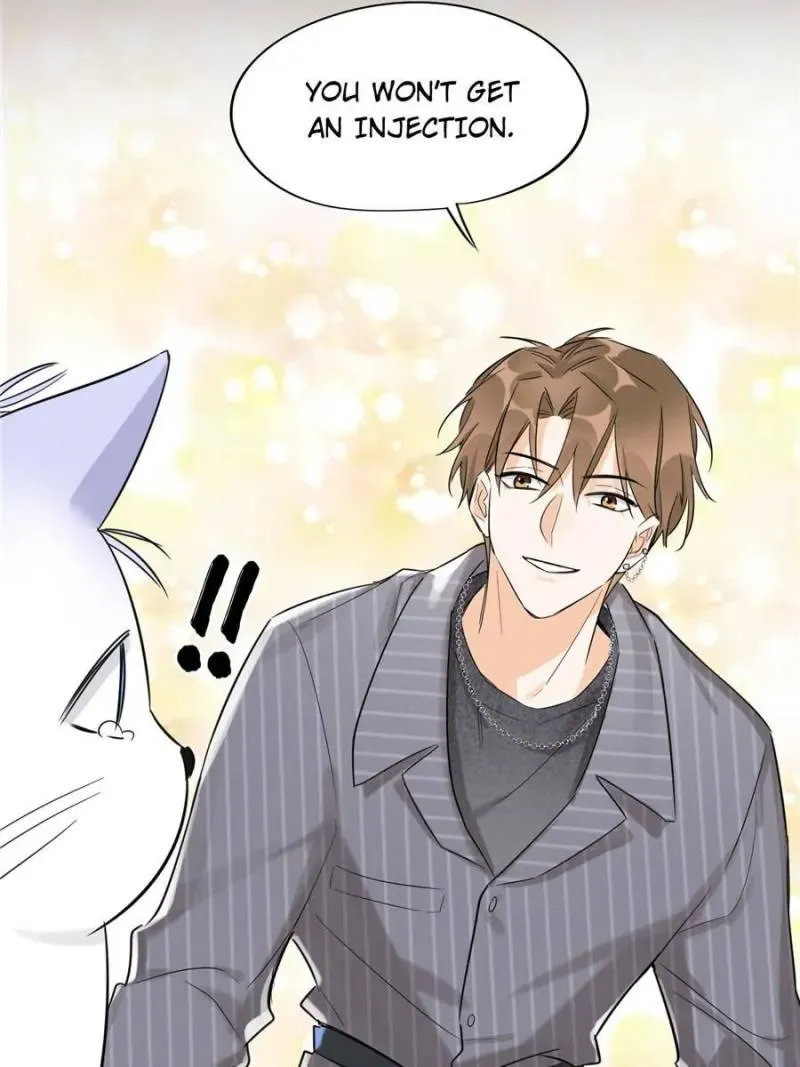 My Cat Lover Chapter 35 Online - página 36