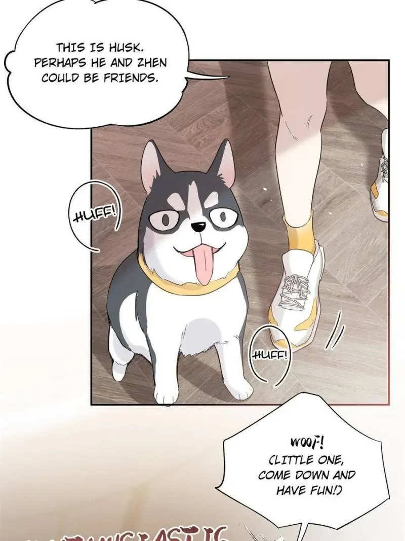 My Cat Lover Chapter 39 Online - página 14