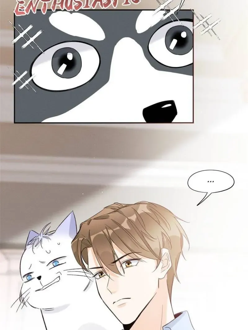 My Cat Lover Chapter 39 Online - página 15