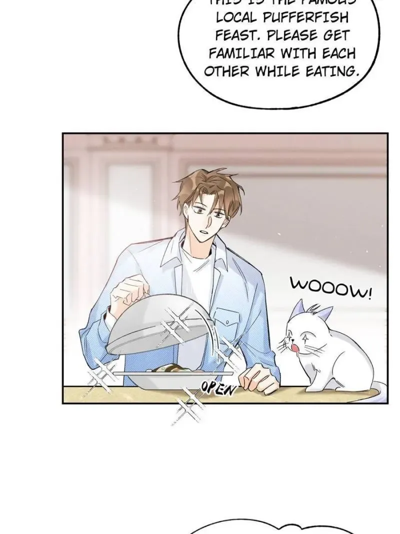 My Cat Lover Chapter 39 Online - página 21