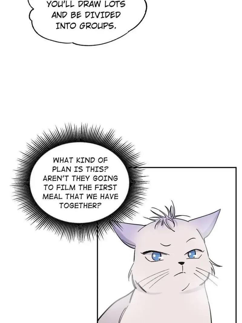 My Cat Lover Chapter 39 Online - página 23