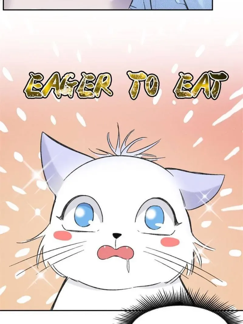 My Cat Lover Chapter 39 Online - página 25