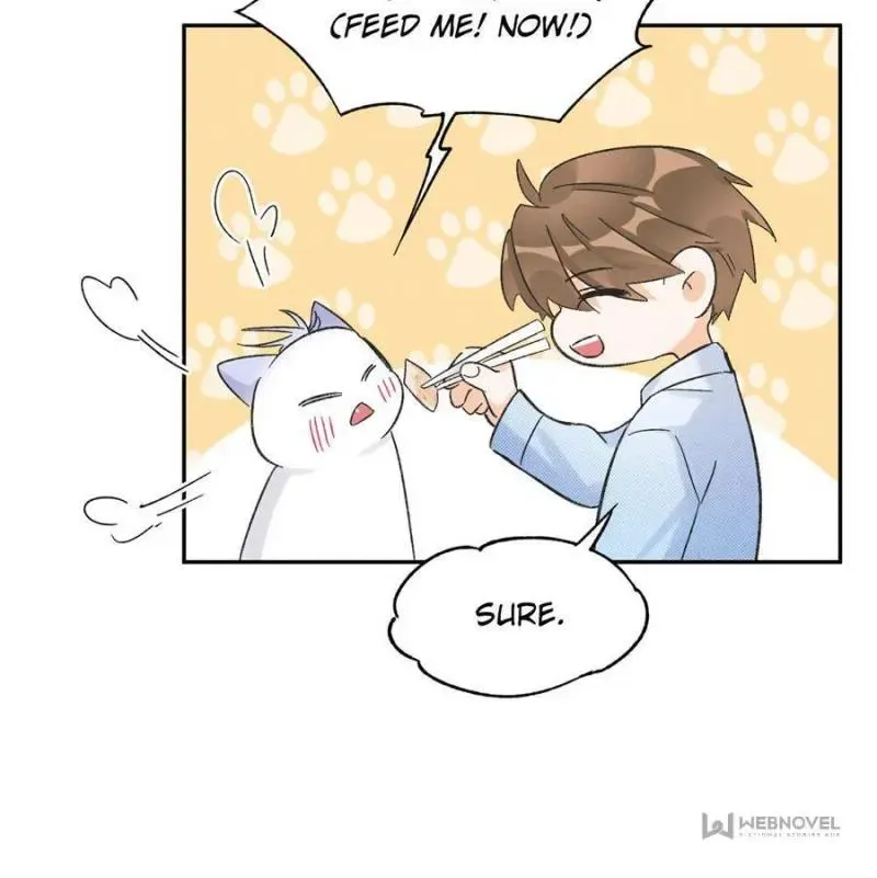 My Cat Lover Chapter 39 Online - página 28