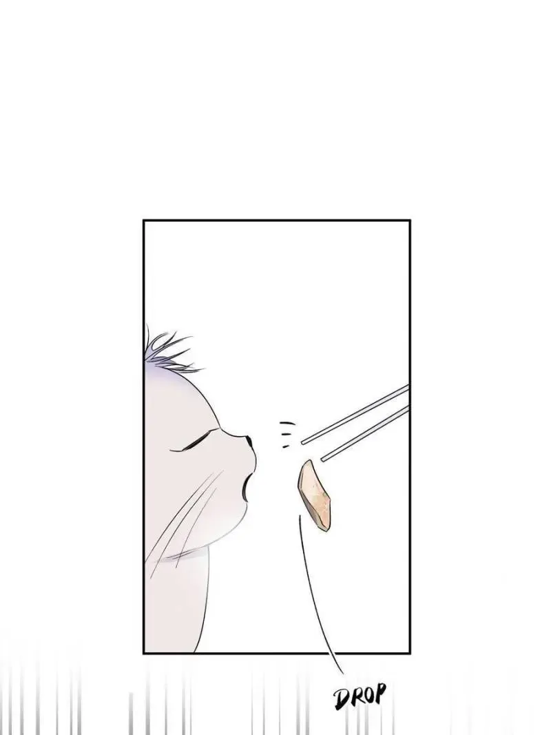 My Cat Lover Chapter 39 Online - página 29
