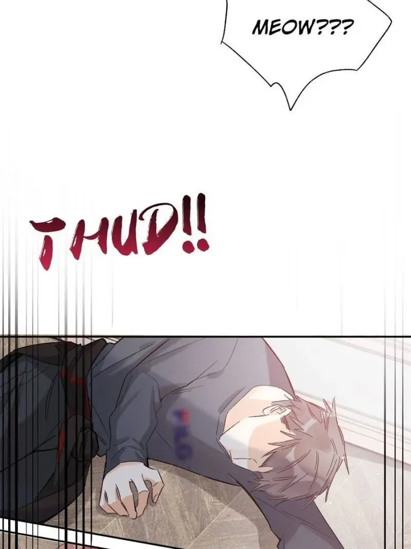 My Cat Lover Chapter 39 Online - página 32