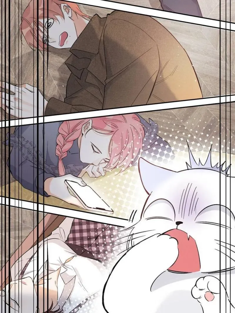 My Cat Lover Chapter 39 Online - página 33
