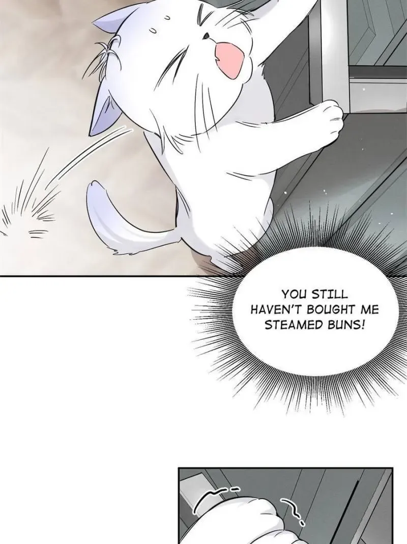 My Cat Lover Chapter 39 Online - página 41