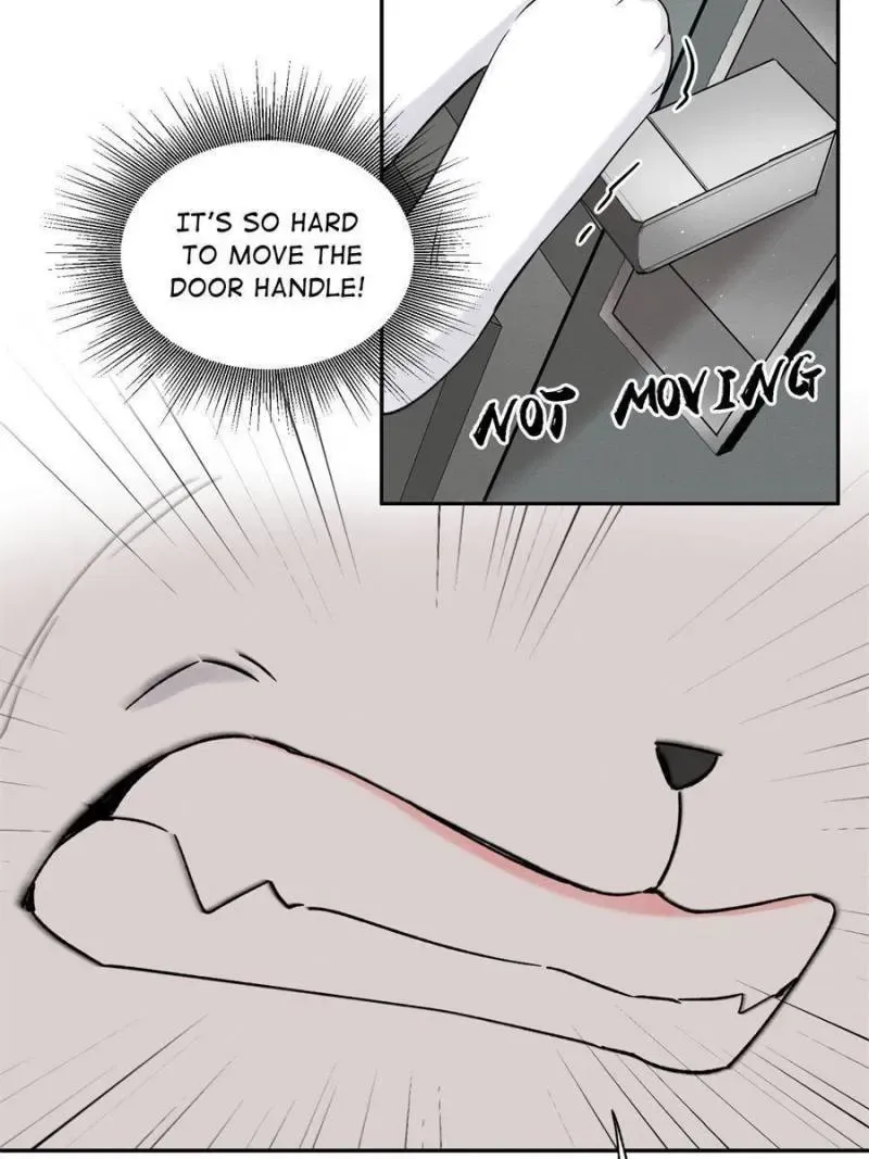 My Cat Lover Chapter 39 Online - página 42