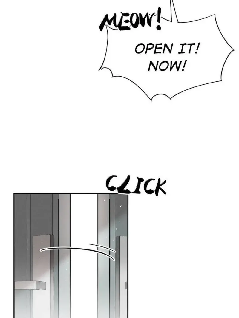 My Cat Lover Chapter 39 Online - página 43