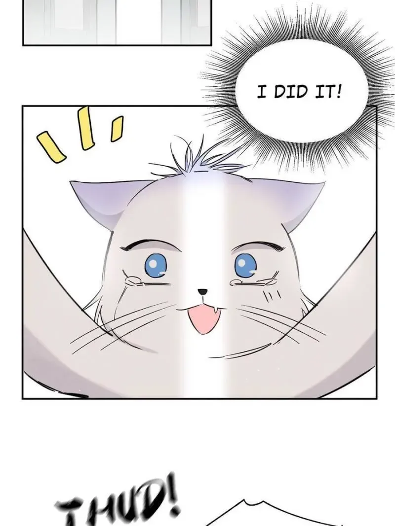 My Cat Lover Chapter 39 Online - página 44