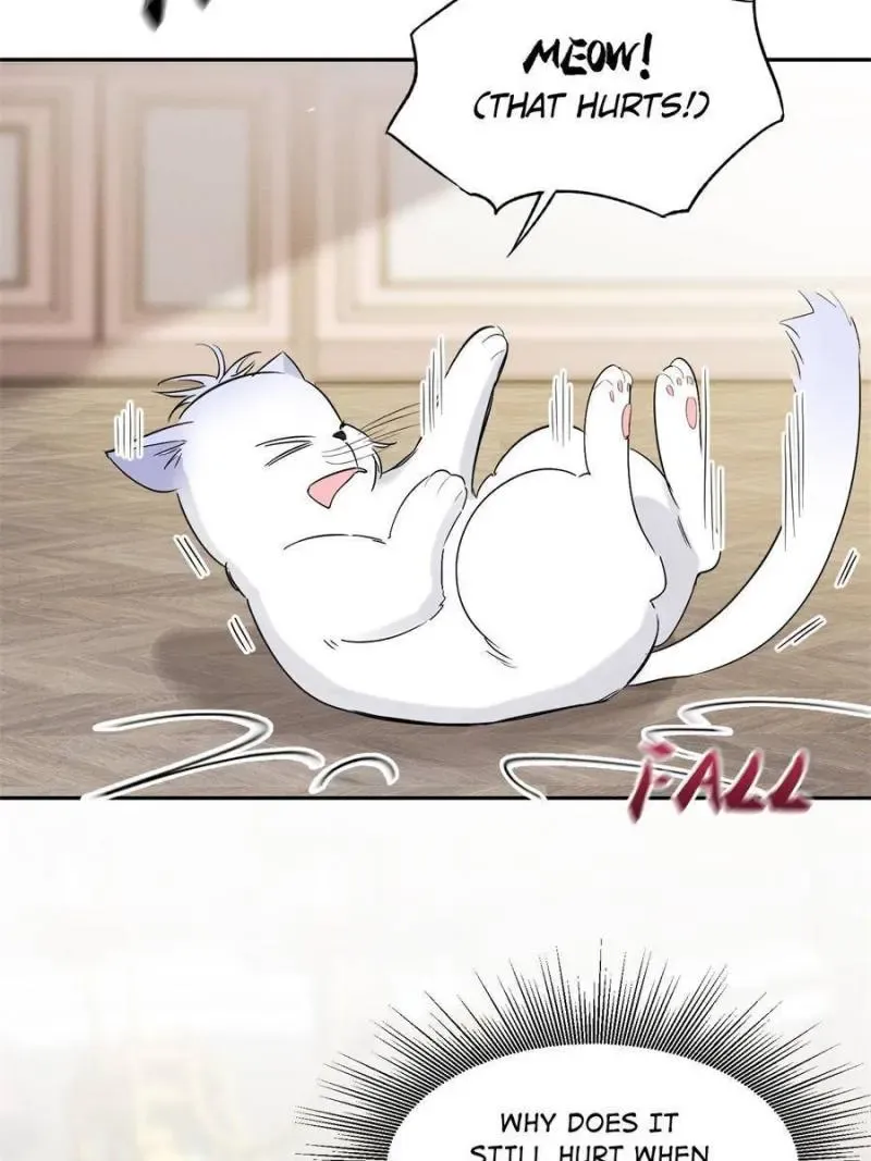 My Cat Lover Chapter 39 Online - página 45