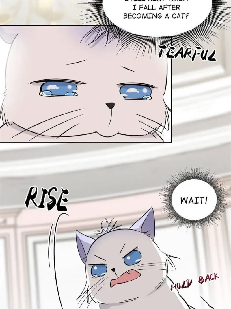 My Cat Lover Chapter 39 Online - página 46