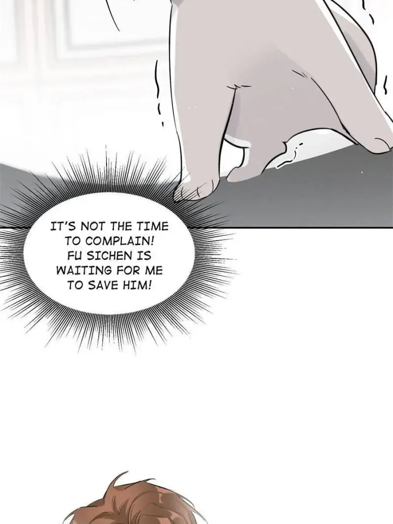 My Cat Lover Chapter 39 Online - página 47