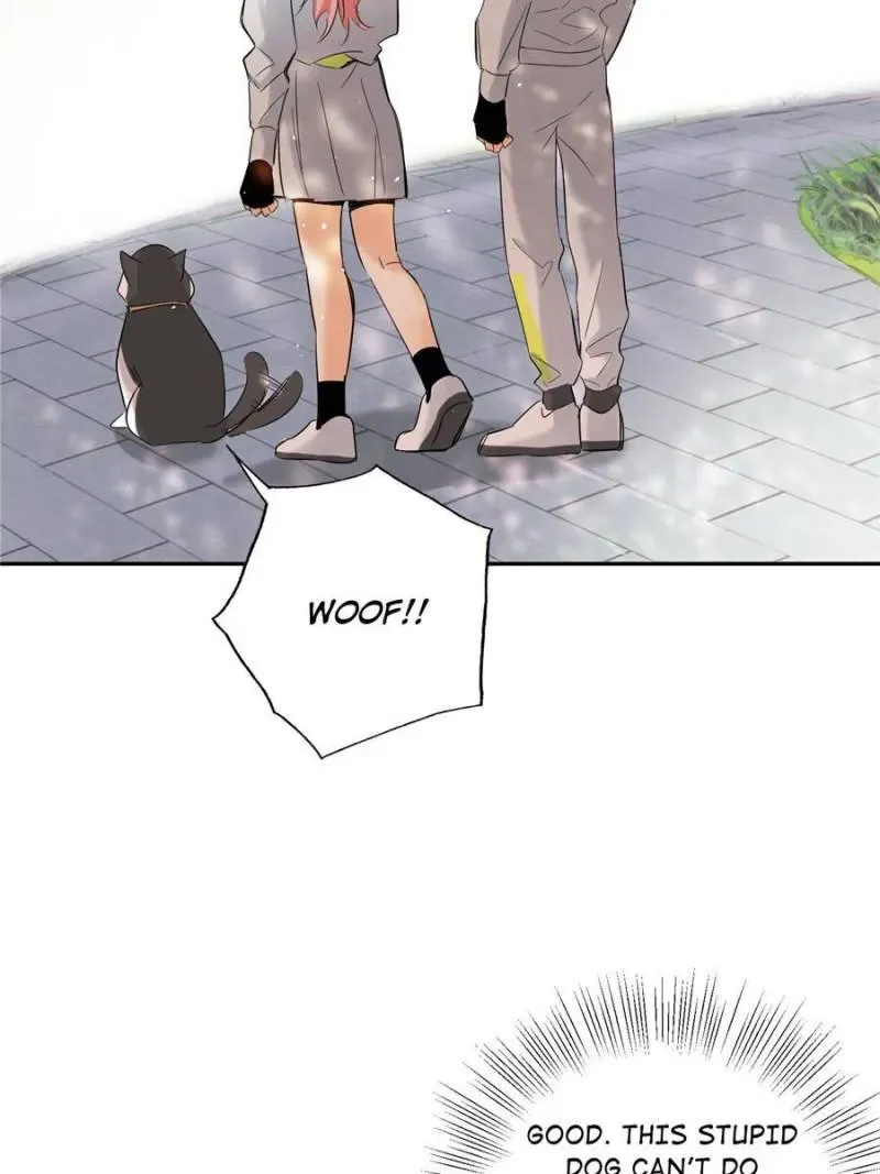 My Cat Lover Chapter 41 Online - página 31