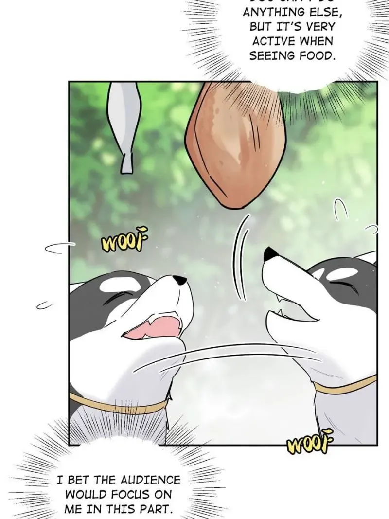 My Cat Lover Chapter 41 Online - página 32