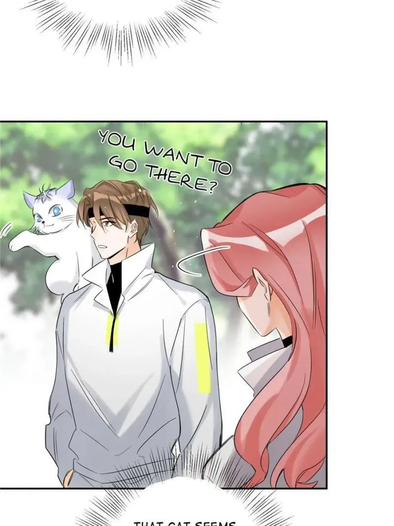 My Cat Lover Chapter 41 Online - página 33