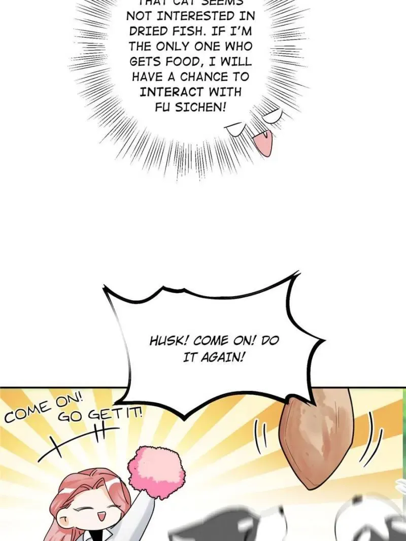 My Cat Lover Chapter 41 Online - página 34