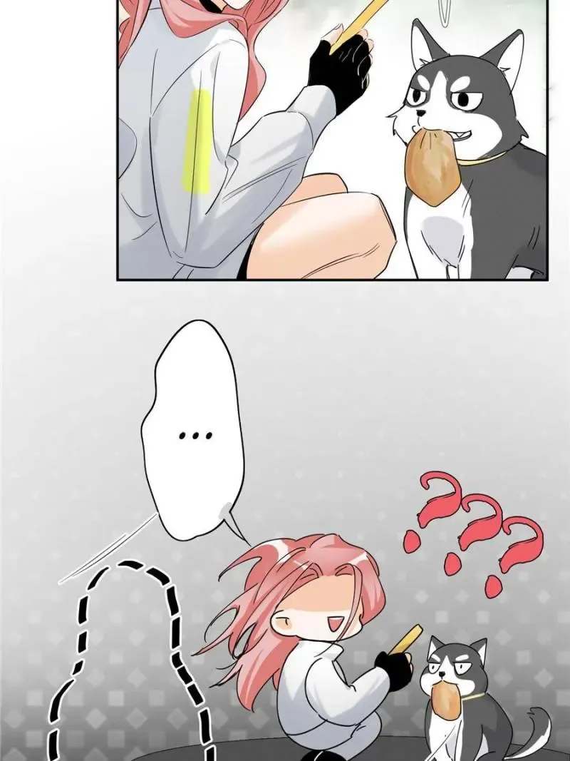 My Cat Lover Chapter 41 Online - página 37