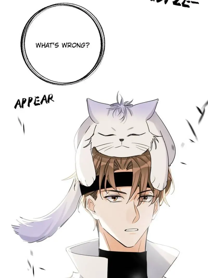 My Cat Lover Chapter 41 Online - página 40